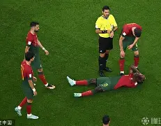 德国阵容再添伤号，意大利盖格巴无缘欧预赛